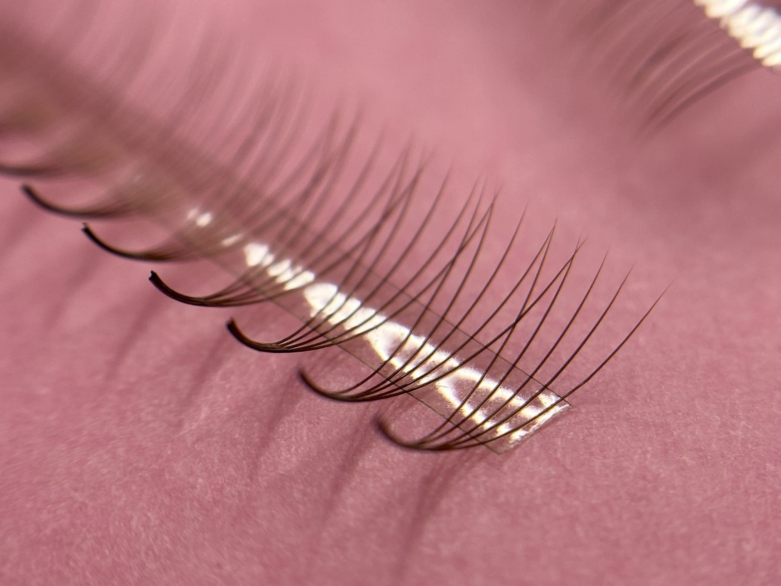 Gene premade 5D curbura CC brown