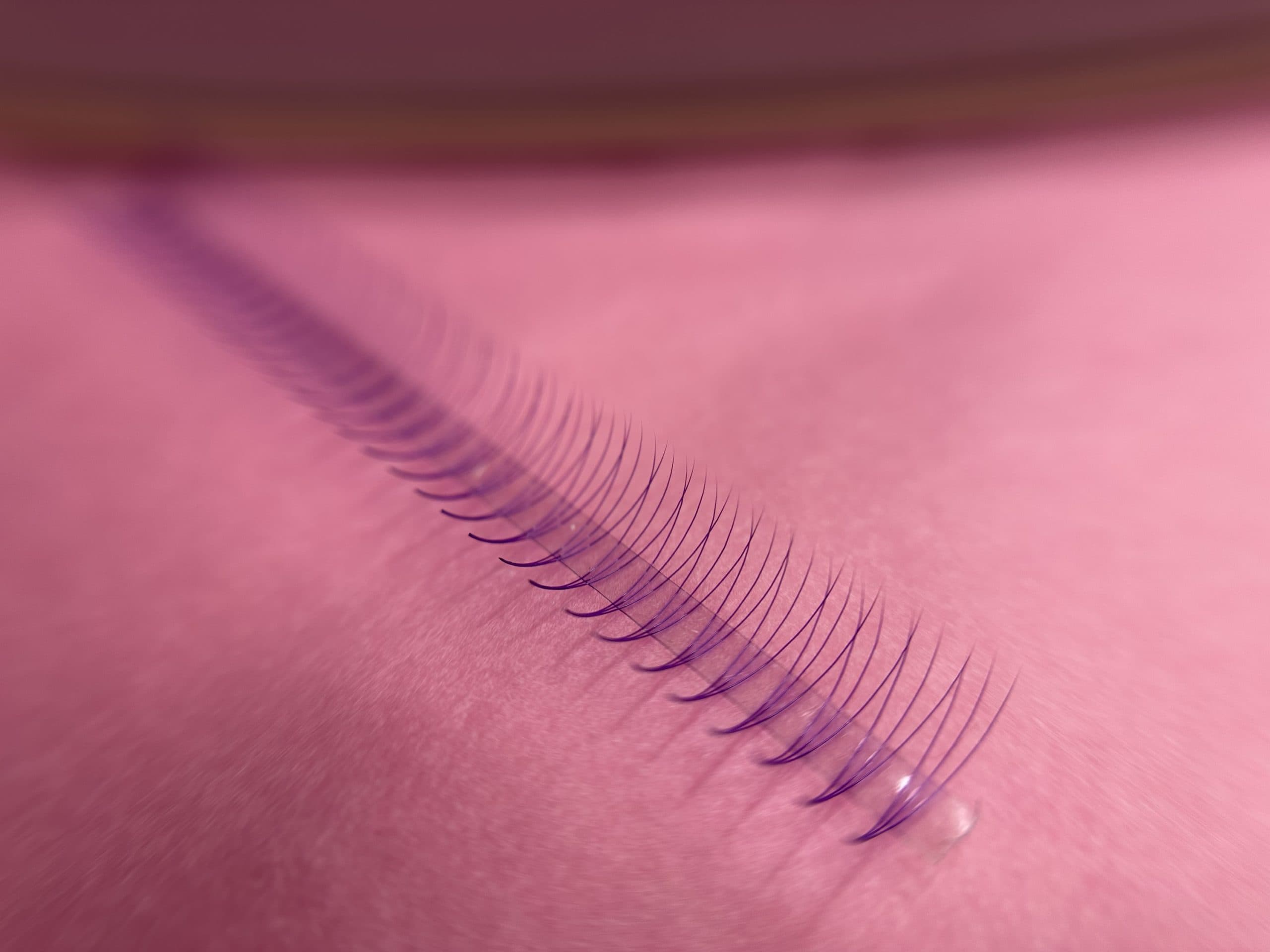 Gene 3D curbura CC mov