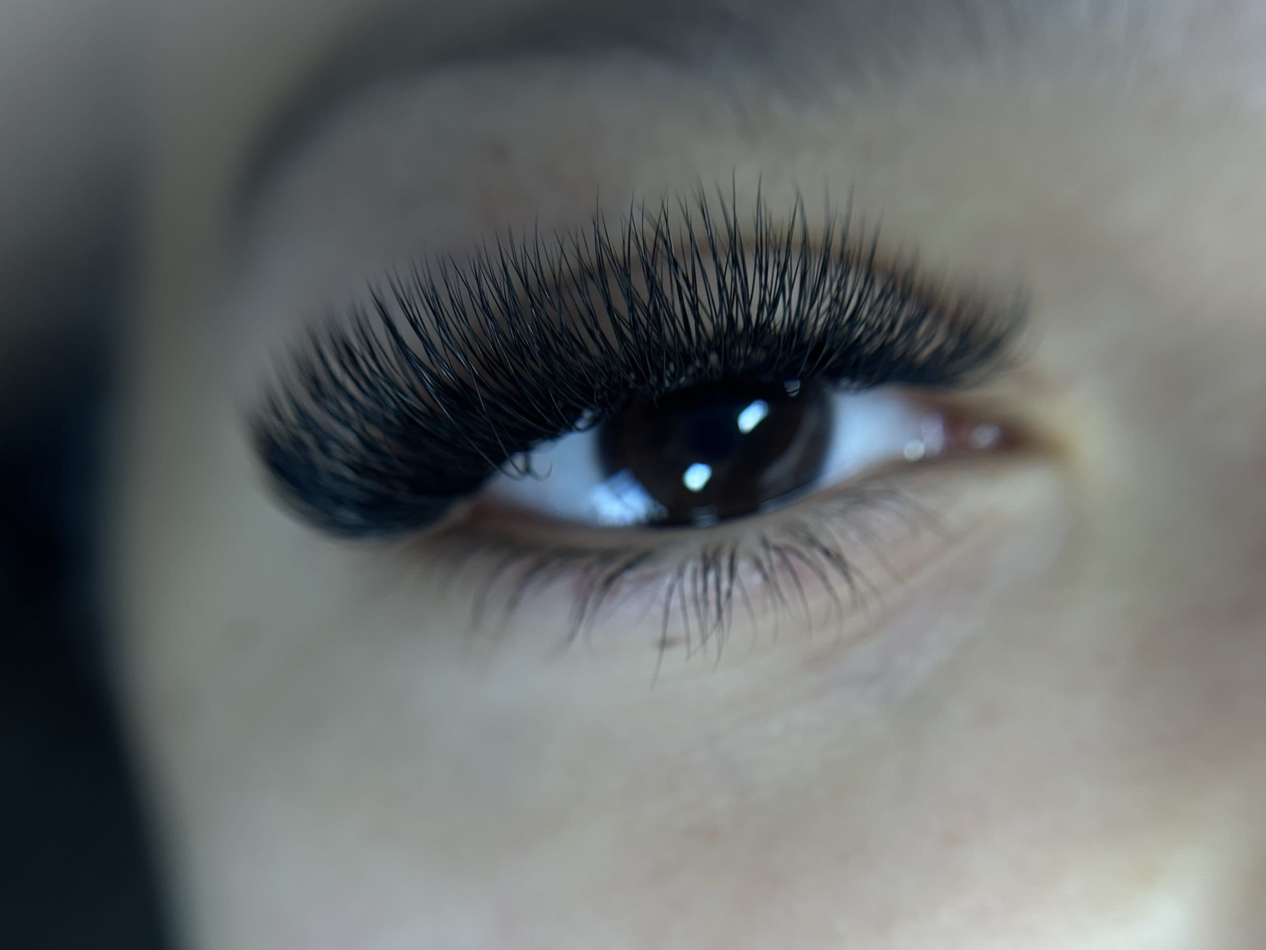 3D Narrow CC ( bază liberă ) 2000 de evantaie